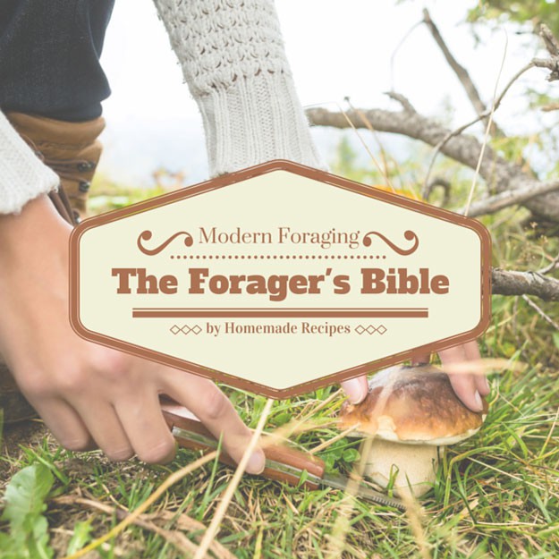 Foragers Bible