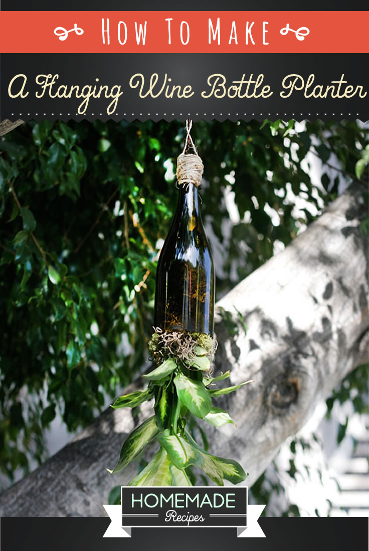 how to make a wine bottle planter