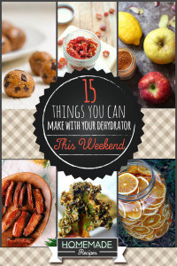 15 Things You Can Make Using A Dehydrator