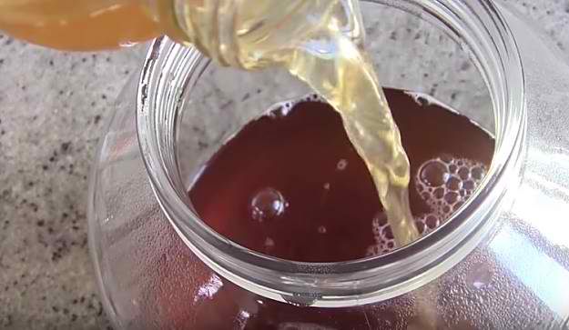 Mix Tea And Kombucha Solution | How To Make Scoby For Kombucha Tea At Home