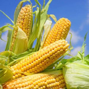 Corn | 5 Foods To Never Eat During Summer