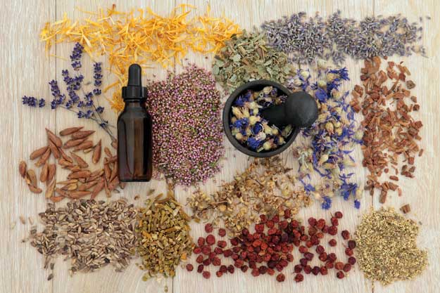 Essential Oils Guide for Beginners l Homemade Recipes http://homemaderecipes.com/homemade-products/guide-to-essential-oils-buying-them