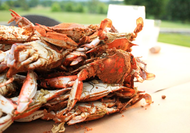 marylandstyle crabs | how to cook crab legs