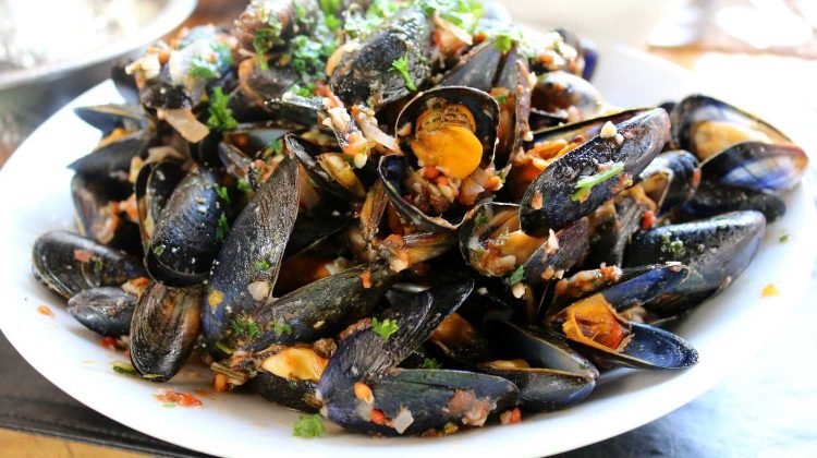 mussels eat food delicious seafood-Easy Recipes For Dinner-pb-feature