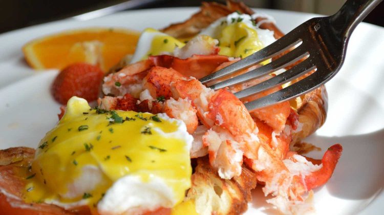 lobster brunch benedict fork food-lobster recipes-pb-feature