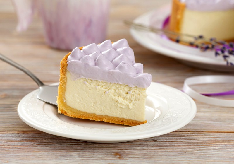 piece cheesecake lavender cream on plate | unique desserts los angeles