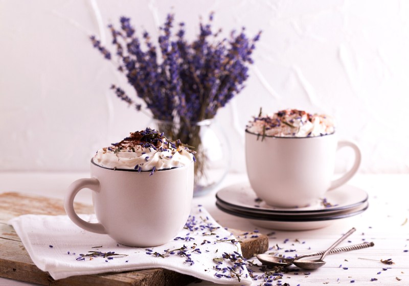 two cups hot chocolate cacao whipped | unique desserts nyc