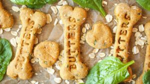 Feature | Homemade Dog Treats For Man's Best Friend | Healthy Dog Treat Recipes