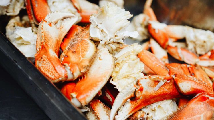 v9_9mjOXxls-cooked crabs-spicy crab recipes-us-feature