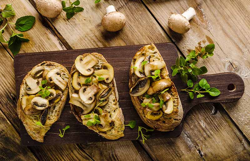 rustic toast bread garlic mushrooms herbs | halloumi cheese recipe