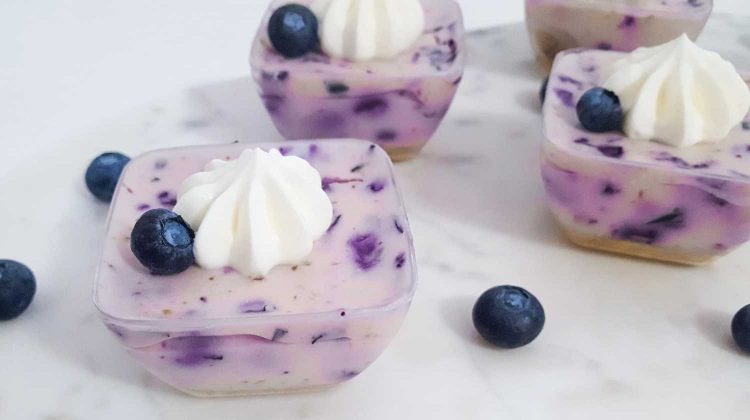 -z_l76W5W5I-blueberry frozen yogurt-homemade frozen yogurt-us-feature