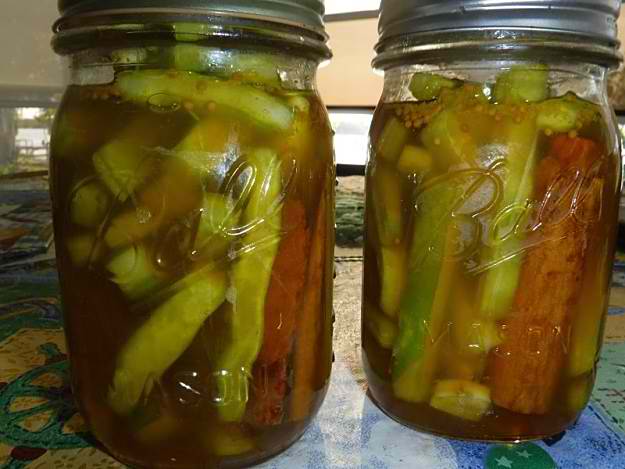 Pickled Cactus | Festive Edible Gifts To Make And Give This Season