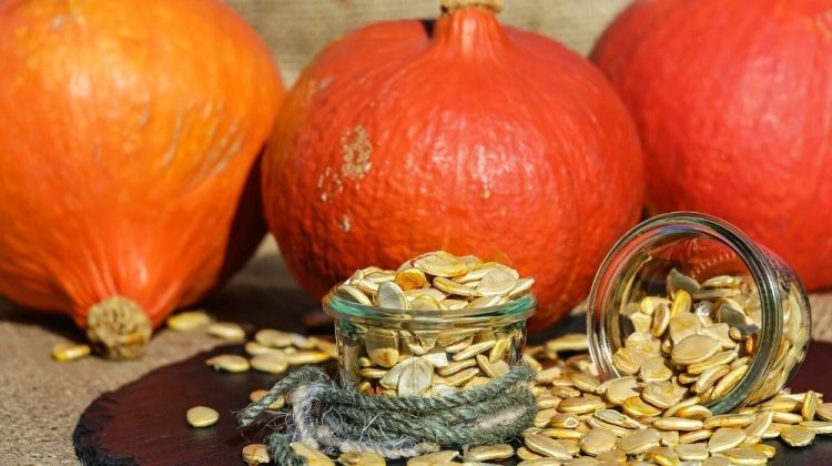 pumpkin seeds pumpkin seeds orange | 11 Pumpkin Seed Recipes For A Delightful Fall Snack | Featured