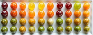 vibrant, meticulously arranged tray of colorful bite-sized appetizers on a sleek white serving platter.