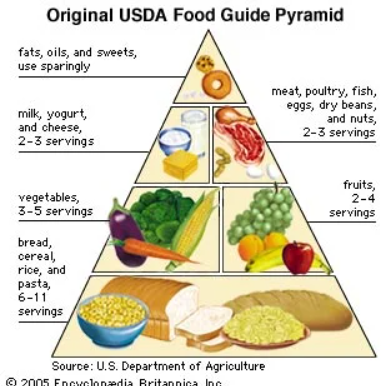 New Food Pyramid 2026 vs Old