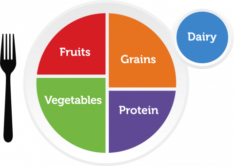 New Food Pyramid 2026 vs Old